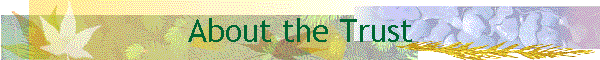 About the Trust