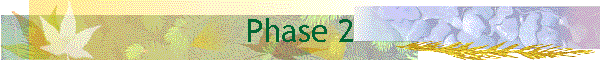 Phase 2